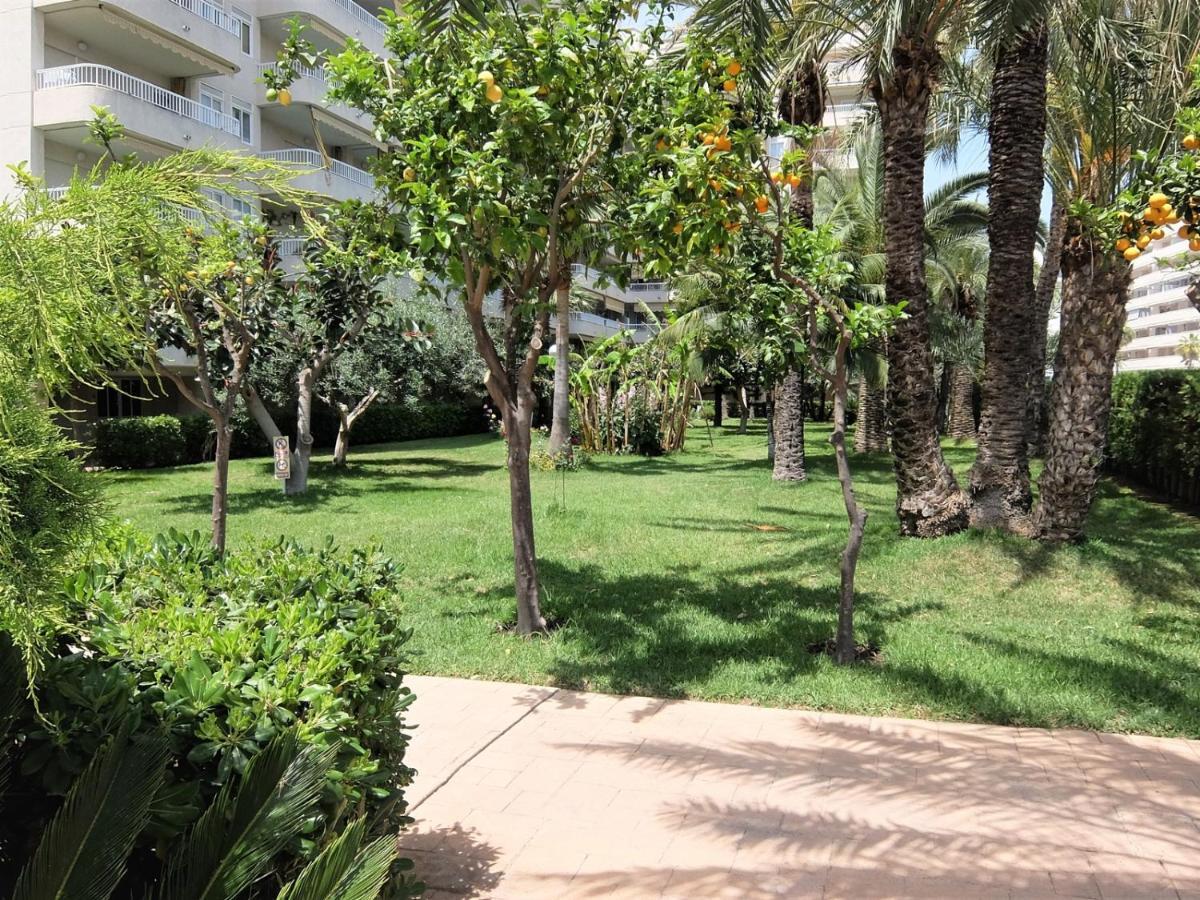Parque Mota - Alquiler Solo A Familias Leilighet Playa de Gandia Eksteriør bilde